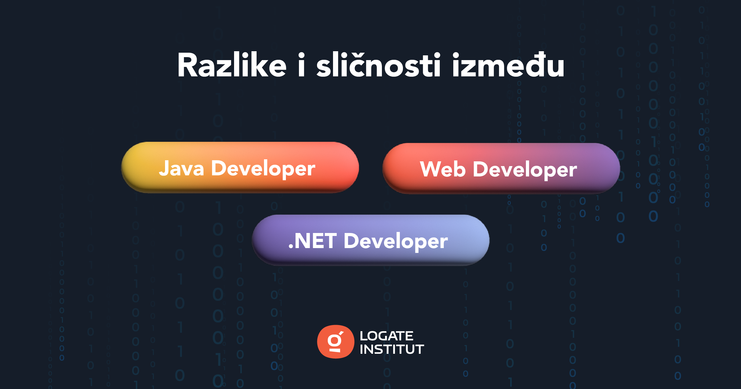 Java Developer, Web Developer i .Net Developer